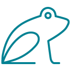 frog icon